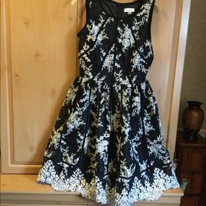 Calvin Klein Fit & Flare Lace Dress - Black/White